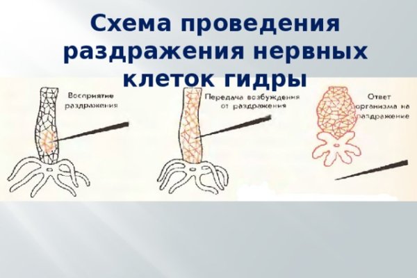Кракен шеринг