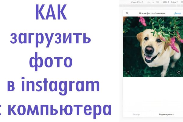 Дарк нет кракен