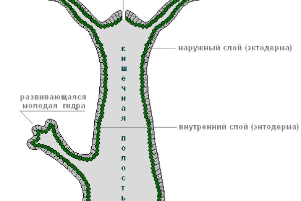 Кракен сайт зеркало рабочее