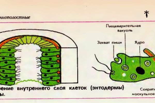 Наркотики заказать
