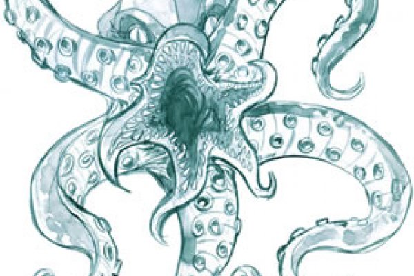 Kraken 20at