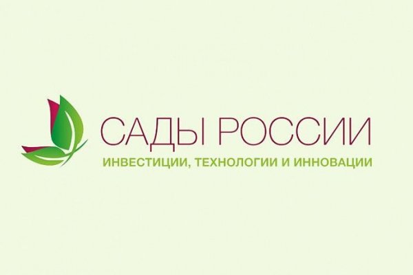 Кракен даркнет войти