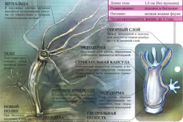 Kraken darknet зеркала кракен обход