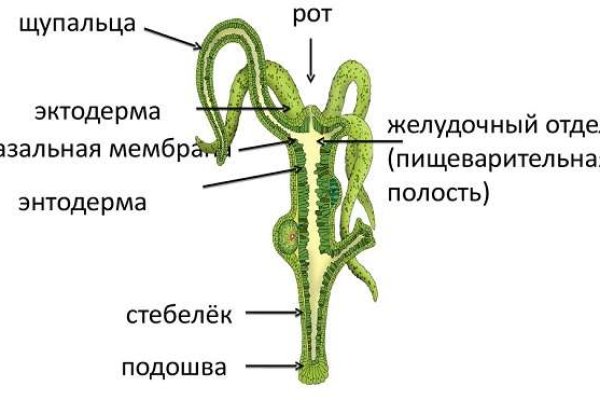 Кракен маркет это