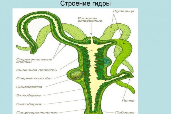 Кракен это современный даркнет